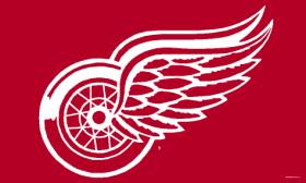 Detroit Red Wings Flag 3x5